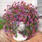 Artificial Hanging Flowers for Outdoors, 2 Pcs Fake Hanging Plant Spring Decor(Light Purple Red)